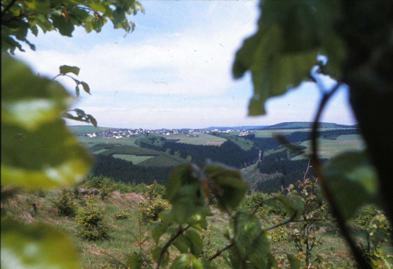 Aussichtsbauernhofpension Hof Gretchens * Winterberg